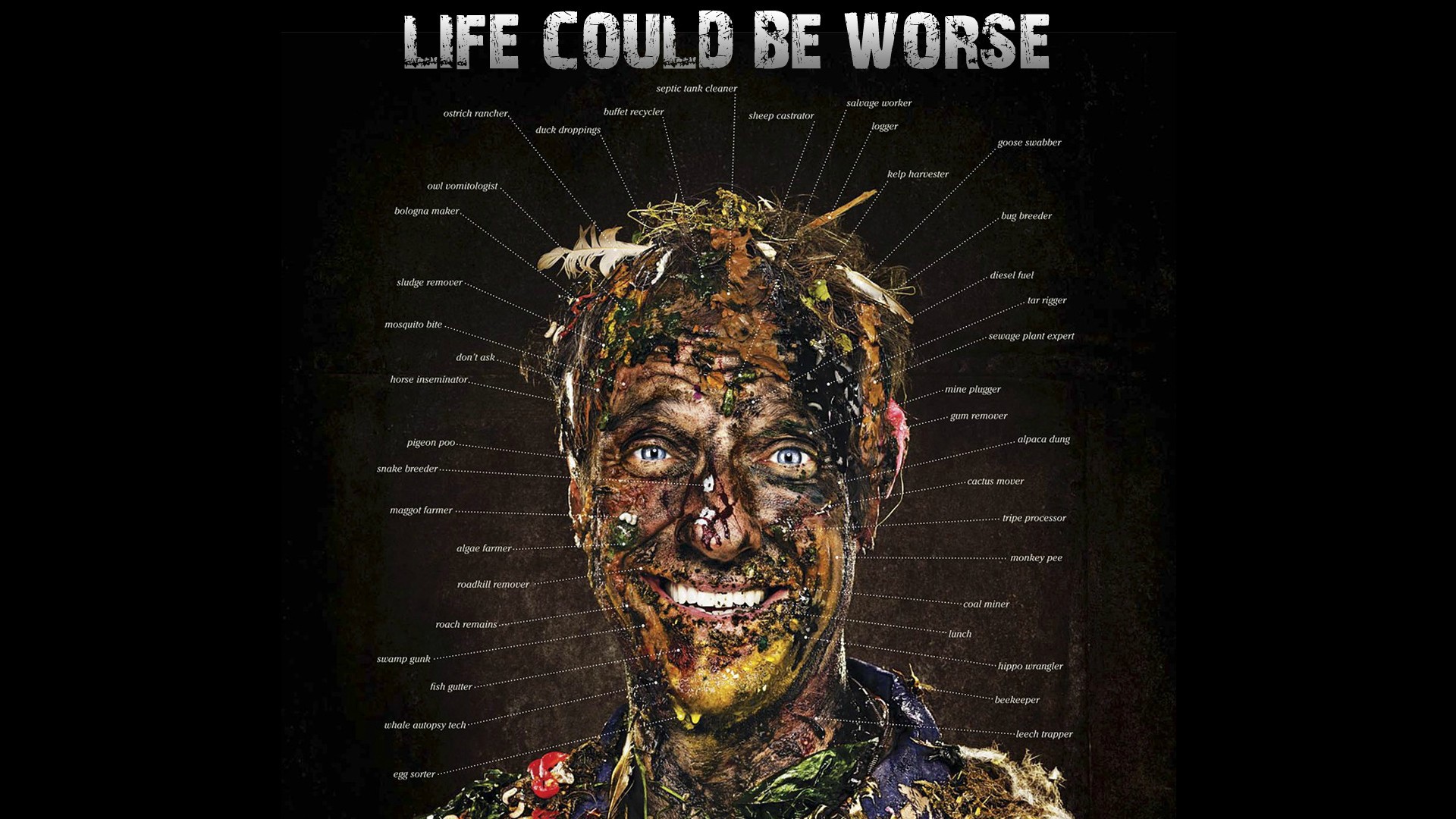 1920 x 1080 HD Wallpapers 2517